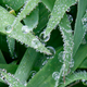Image for article titled Forensic Meteorologists Solve Crimes You've Never Thought About